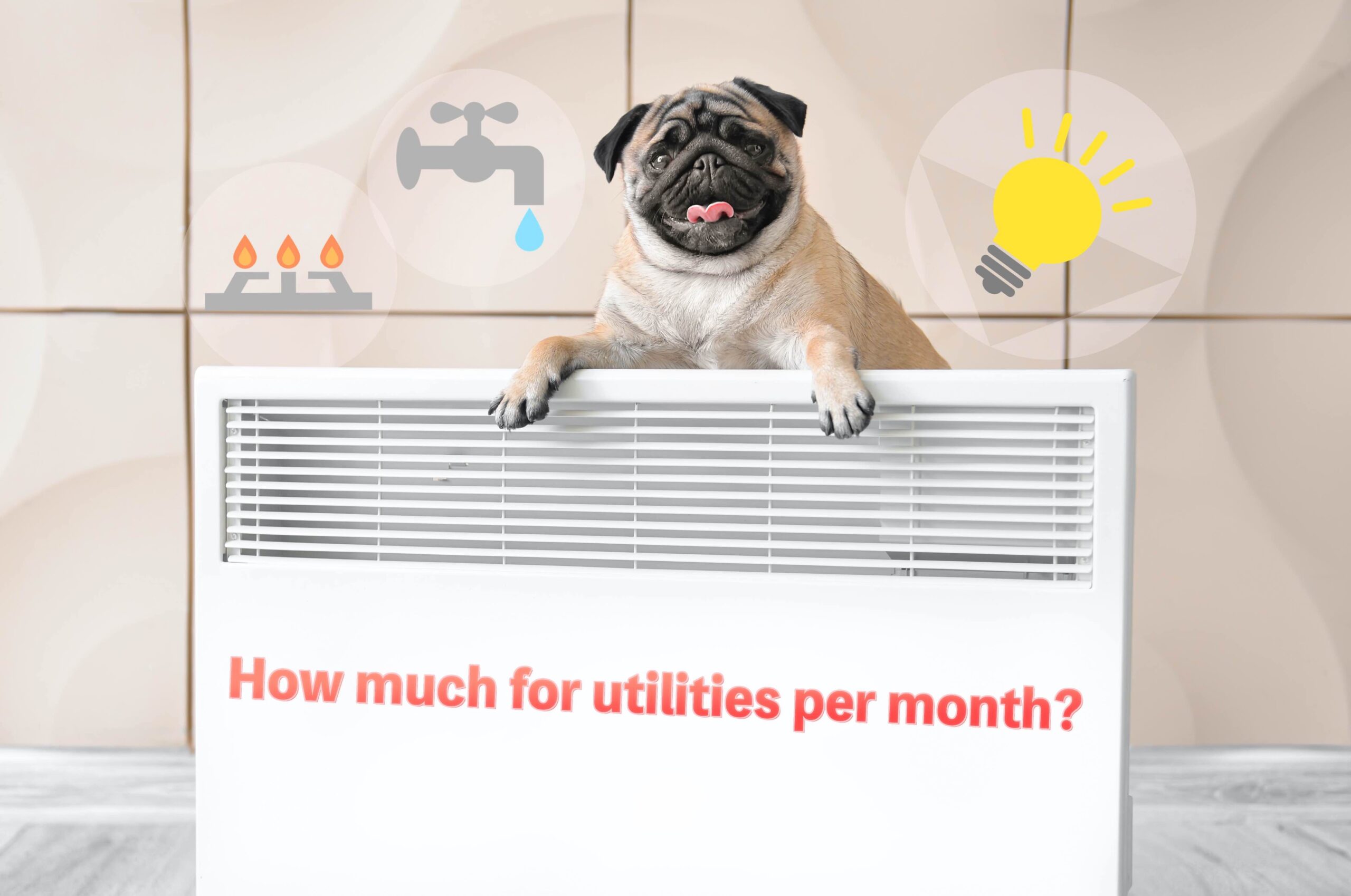 ジャパンボックス | How much for utilities per month?